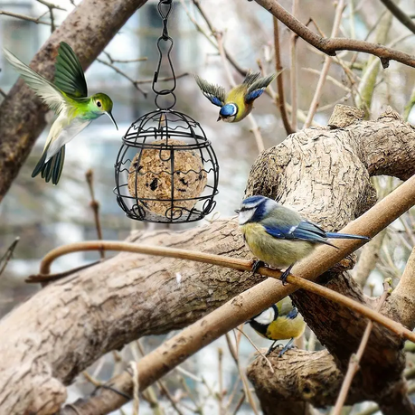 HB 4 Piece Hanging Bird Feeders - Image 6