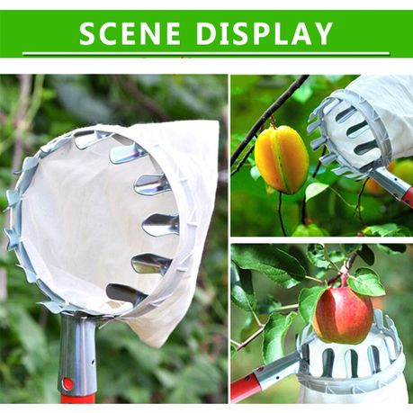 Garden Fruit Picker - Image 4