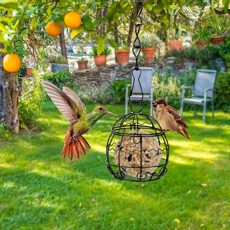 HB 4 Piece Hanging Bird Feeders - Image 10