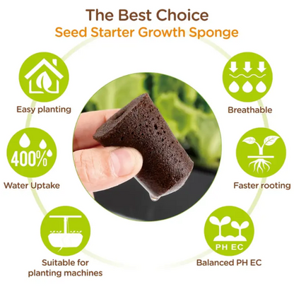 HASHBROWN'S Rooting Sponges - Image 7
