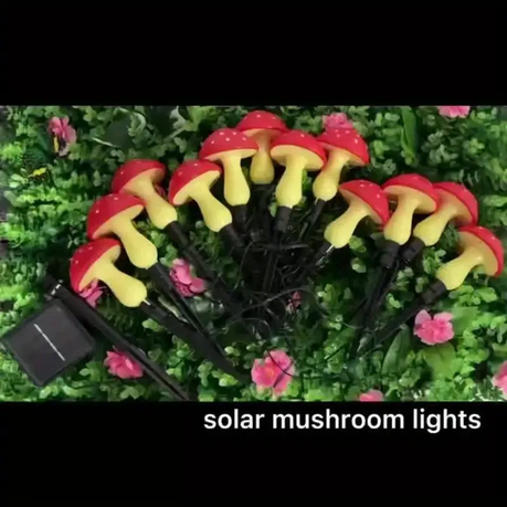 HASHBROWN'S 8 Solar Mushroom Garden Lights - Image 4